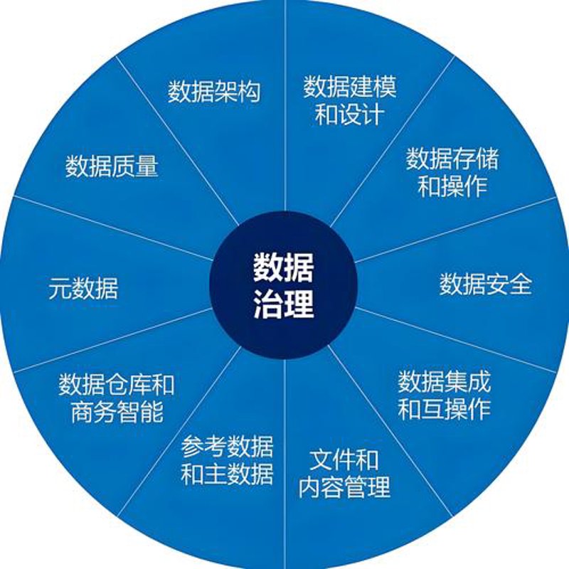 数据治理